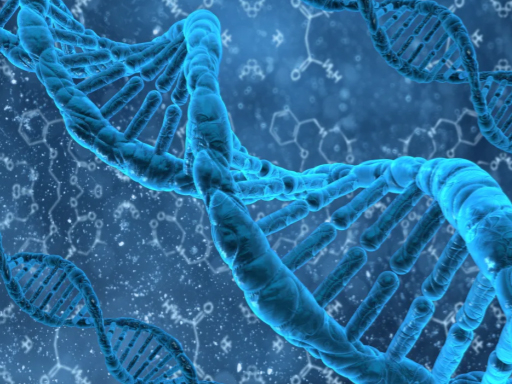 南華大學(xué)附屬長(zhǎng)沙中心醫(yī)院致社會(huì)各界愛(ài)心捐贈(zèng)單位與個(gè)人的感謝信 南華大學(xué)附屬長(zhǎng)沙中心醫(yī)院致社會(huì)各界愛(ài)心捐贈(zèng)單位與個(gè)人的感謝信