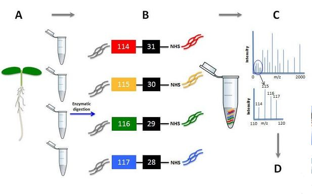 三問中國人類蛋白質組計劃